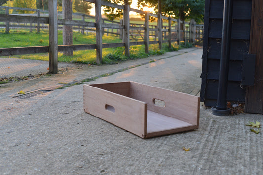 Using a position box to improve dogs heel position