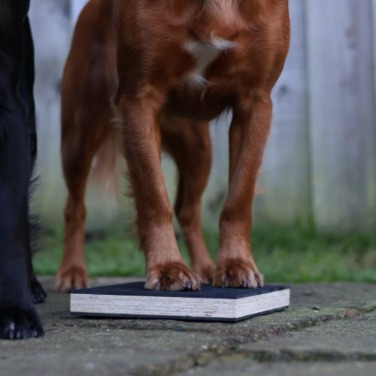 Paw Target for heel position and pivots