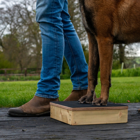 Pivot disk / pivot bowl / pivot box for Heelwork, obedience, IGP, protection dog training