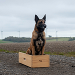 Position Box Place Board for Dog Training