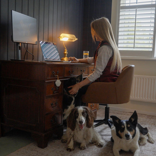 online dog coaching training remotely