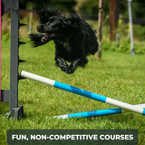 A spaniel at Anglian Dog Works Agility Club Group Training Classes