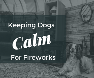 How to keep dogs calm during Fireworks Season 2022