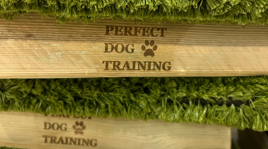 Discover Emily Gill’s dog training using Place Boards and other dog training platforms