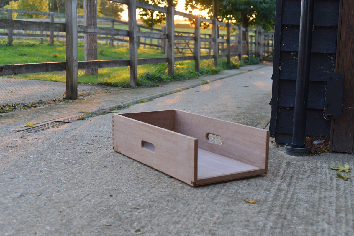 Heel position in obedience Anglian Dog Works