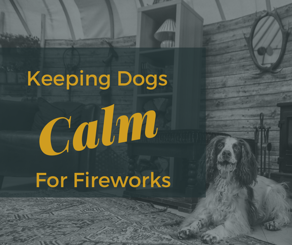 Reduce firework fear