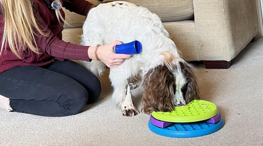 Dog licking a puzzle toy to stay calm during in-home grooming session, using food as a distraction while clipping nails