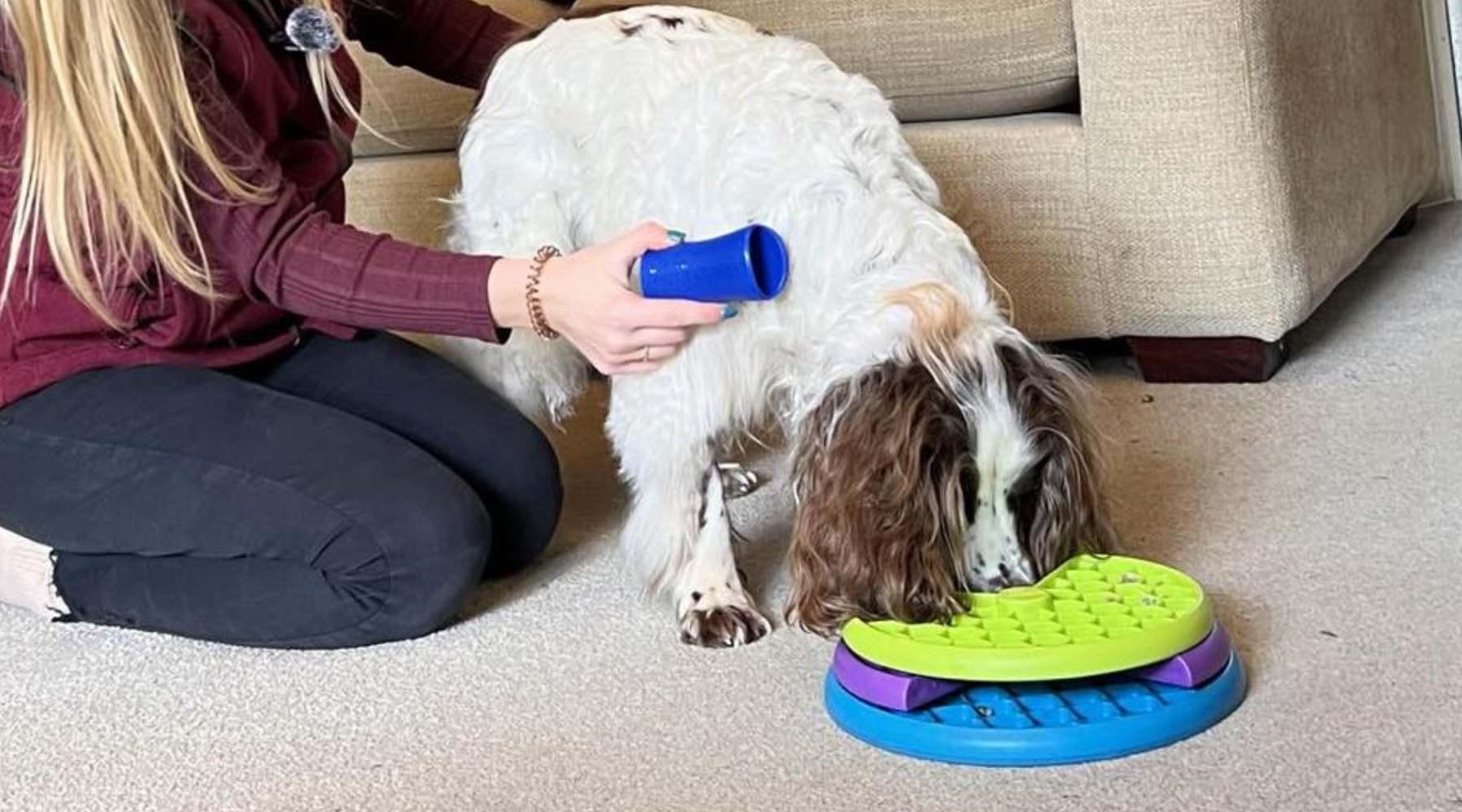 A closer look at Grooming At Home With A Dog