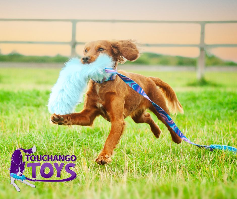 Touchango K9's Toys