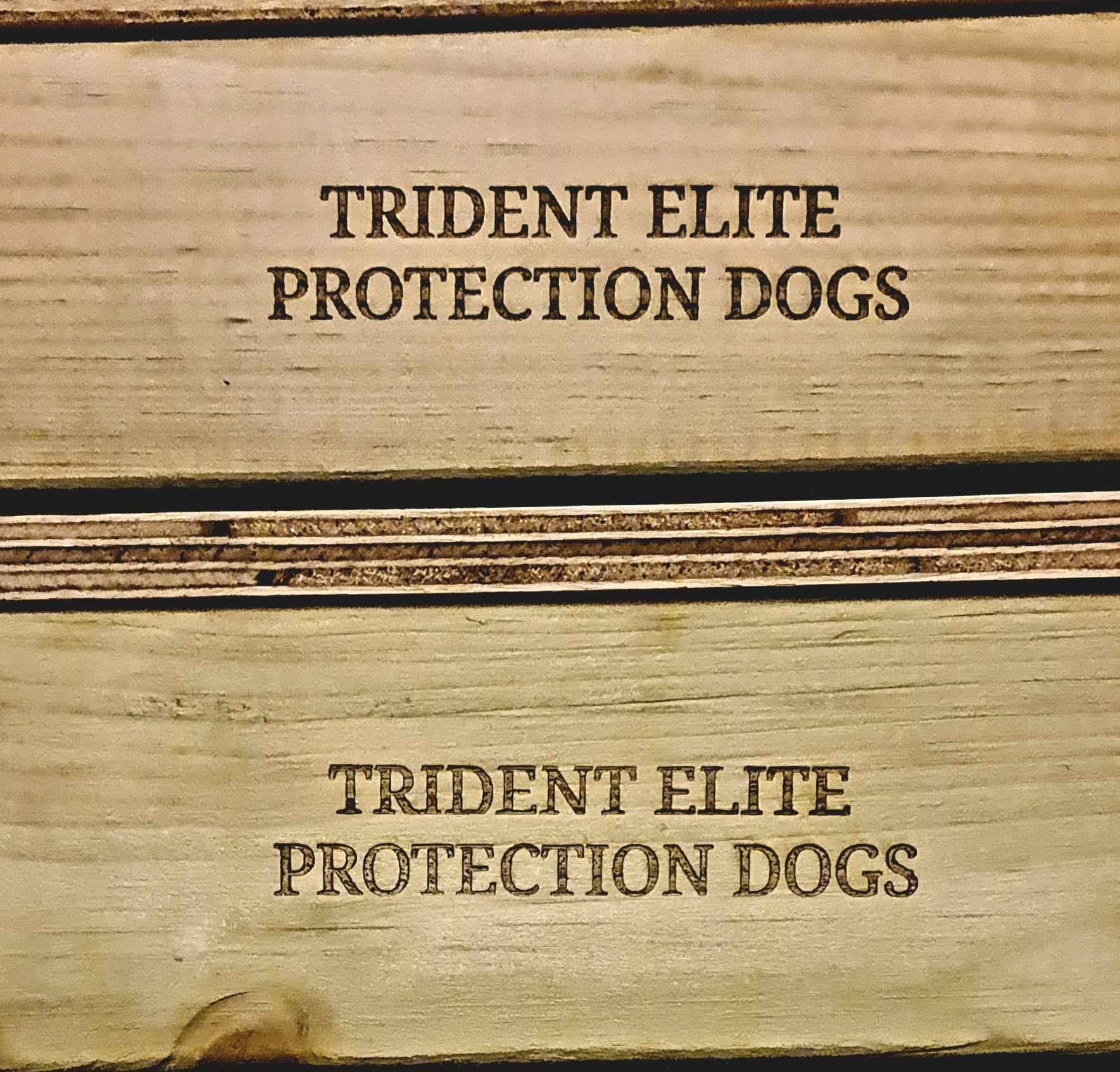 Custom dog training box with non-slip surface for stability.