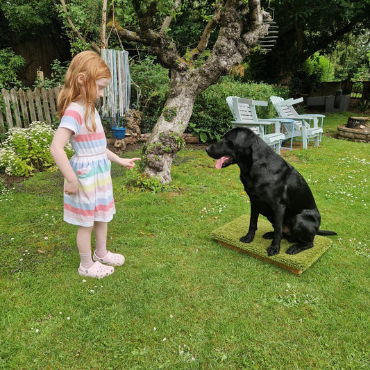 A black lab on a place board