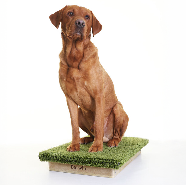 Anglian Dog Works place board
