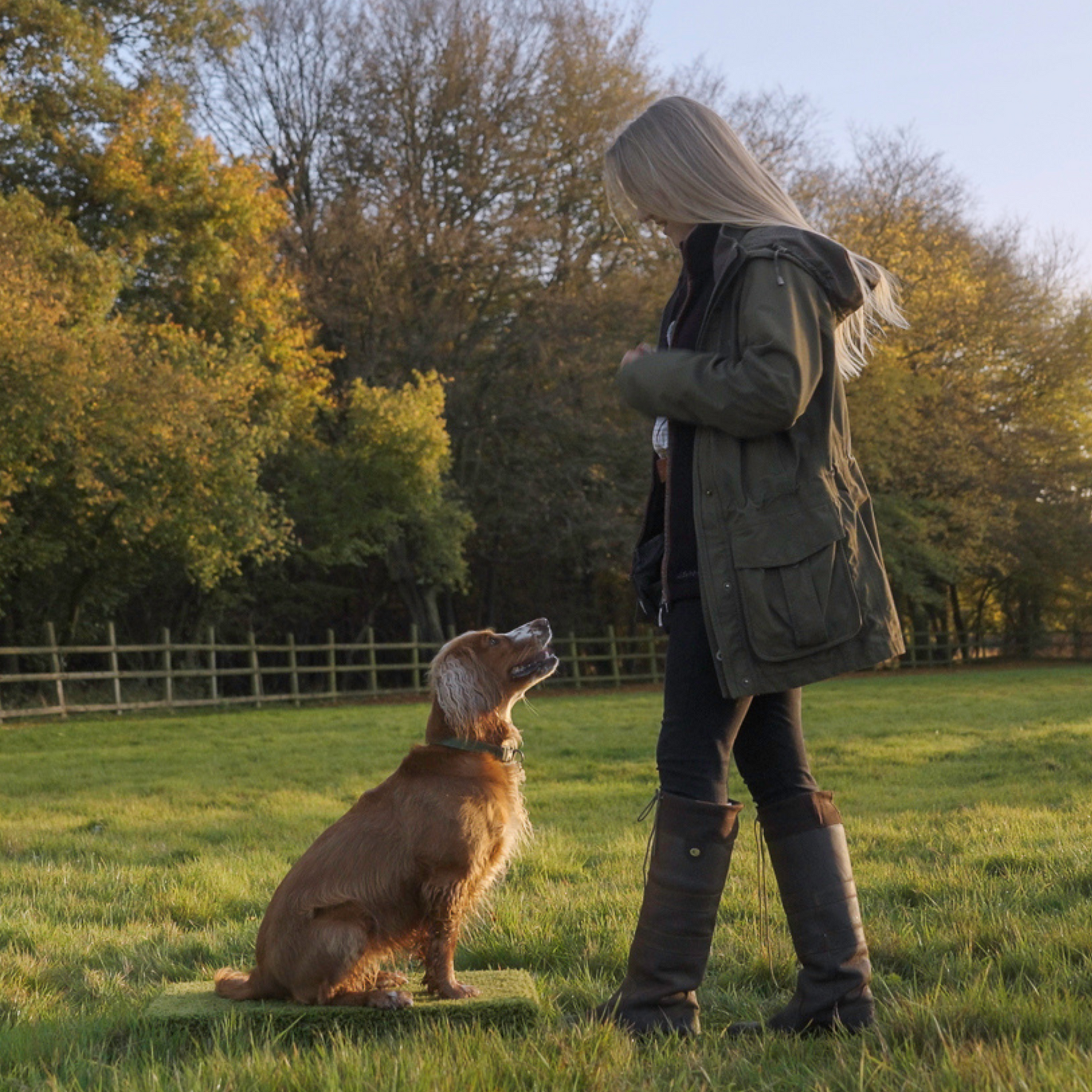 Trainer demonstrating recall training with a dog