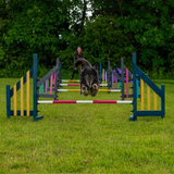 Rescue dog practicing 1-2-1 agility training on obstacle course near Cambridge