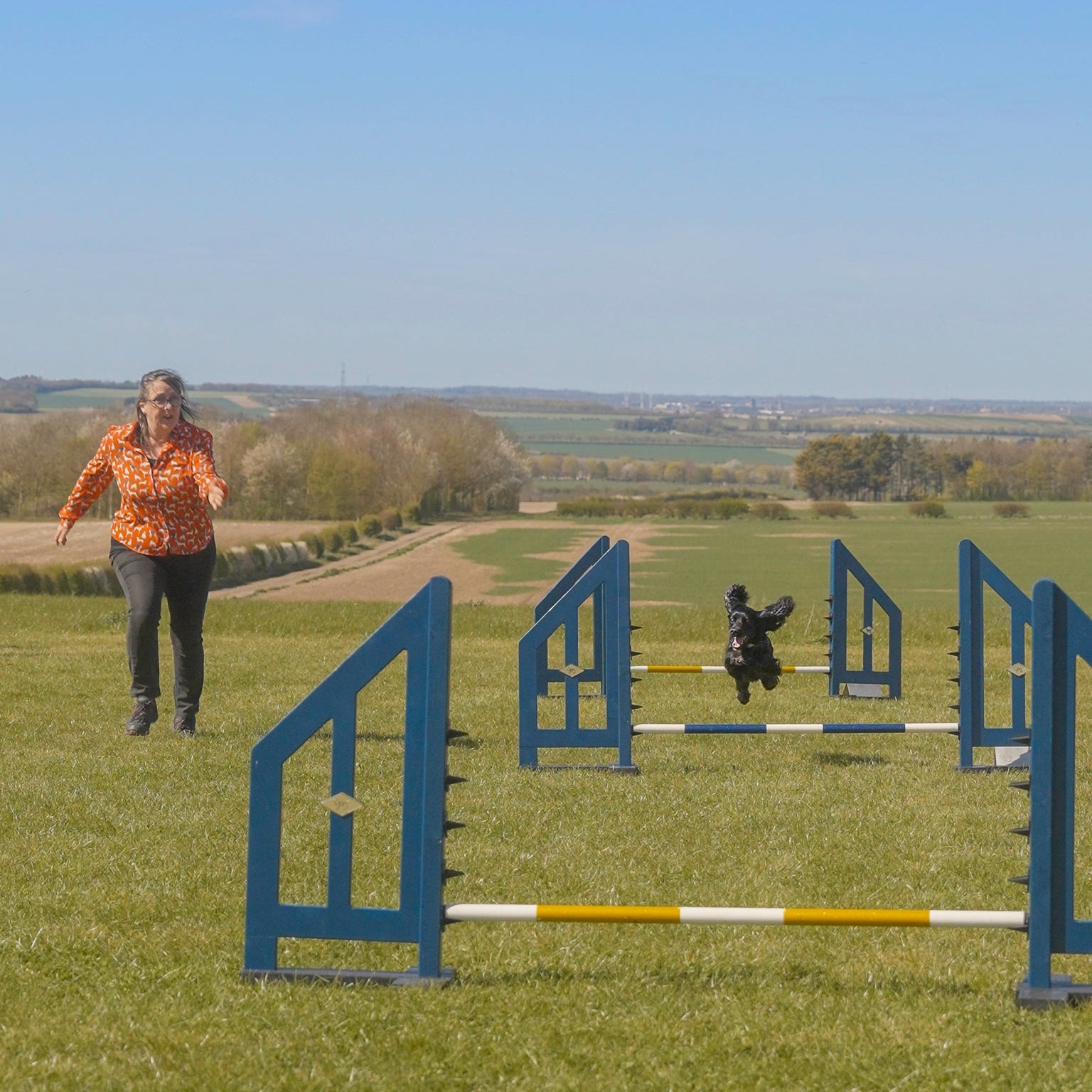 dog agility jump for garden or competition 