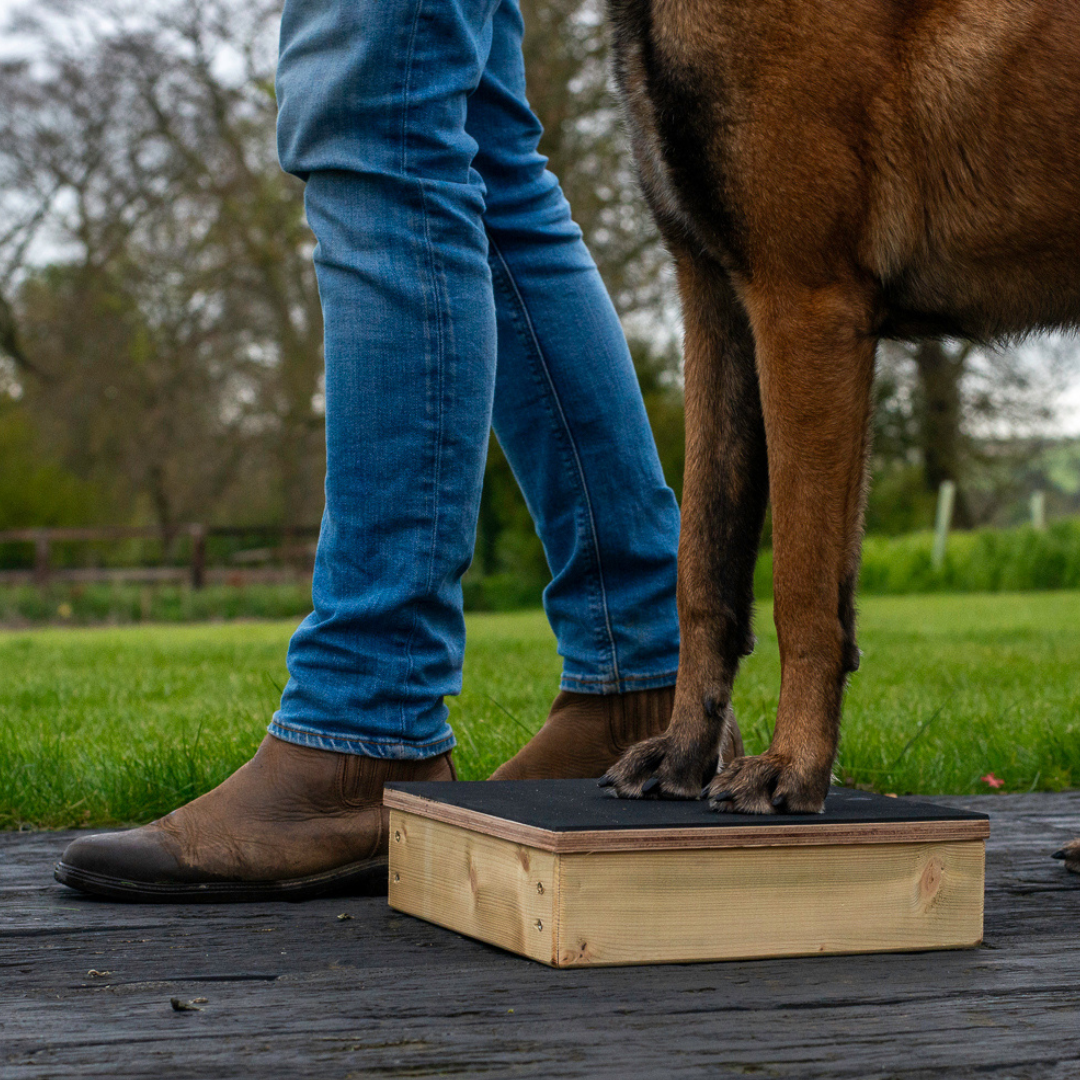 Pivot disk / pivot bowl / pivot box for Heelwork, obedience, IGP, protection dog training 