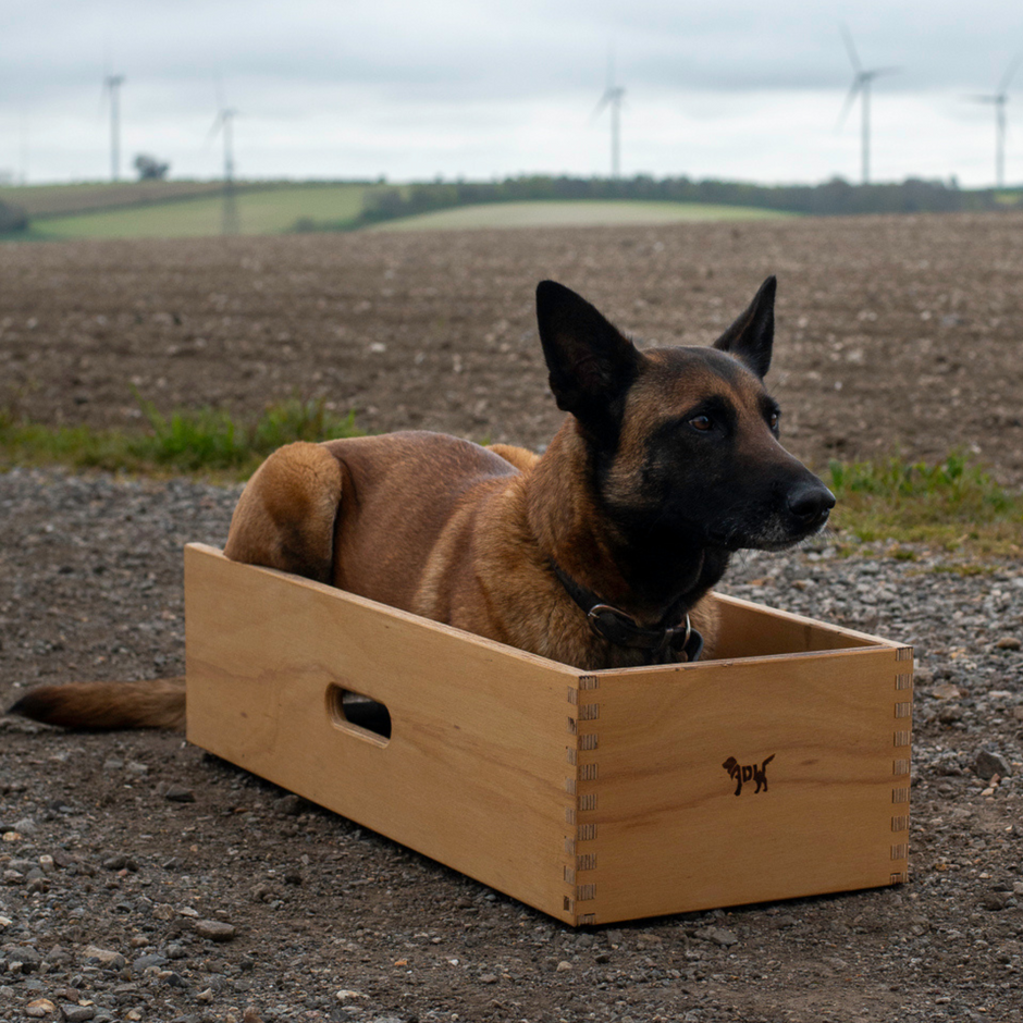 Dog With Box Dog Position Box for Training | Shaping Box for Obedience & Precision ...