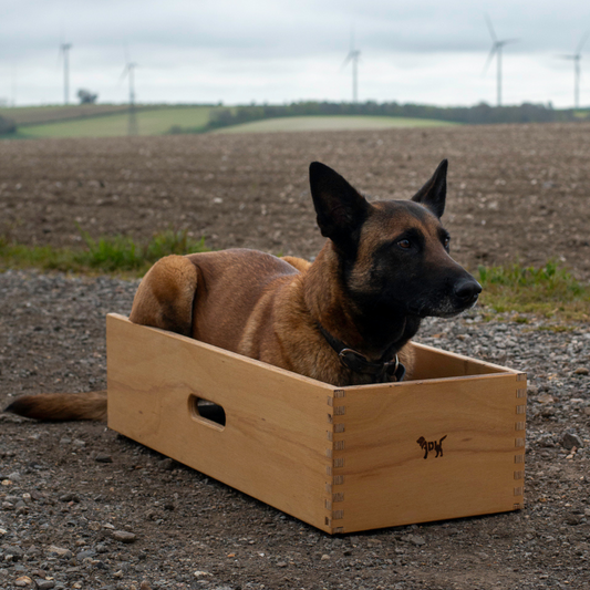 Dog Position Box