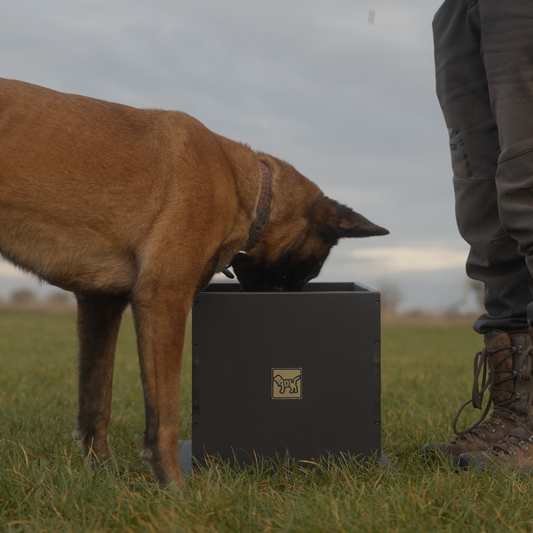 large dog breed feeding box dopamine