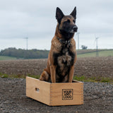 Dog Position Box