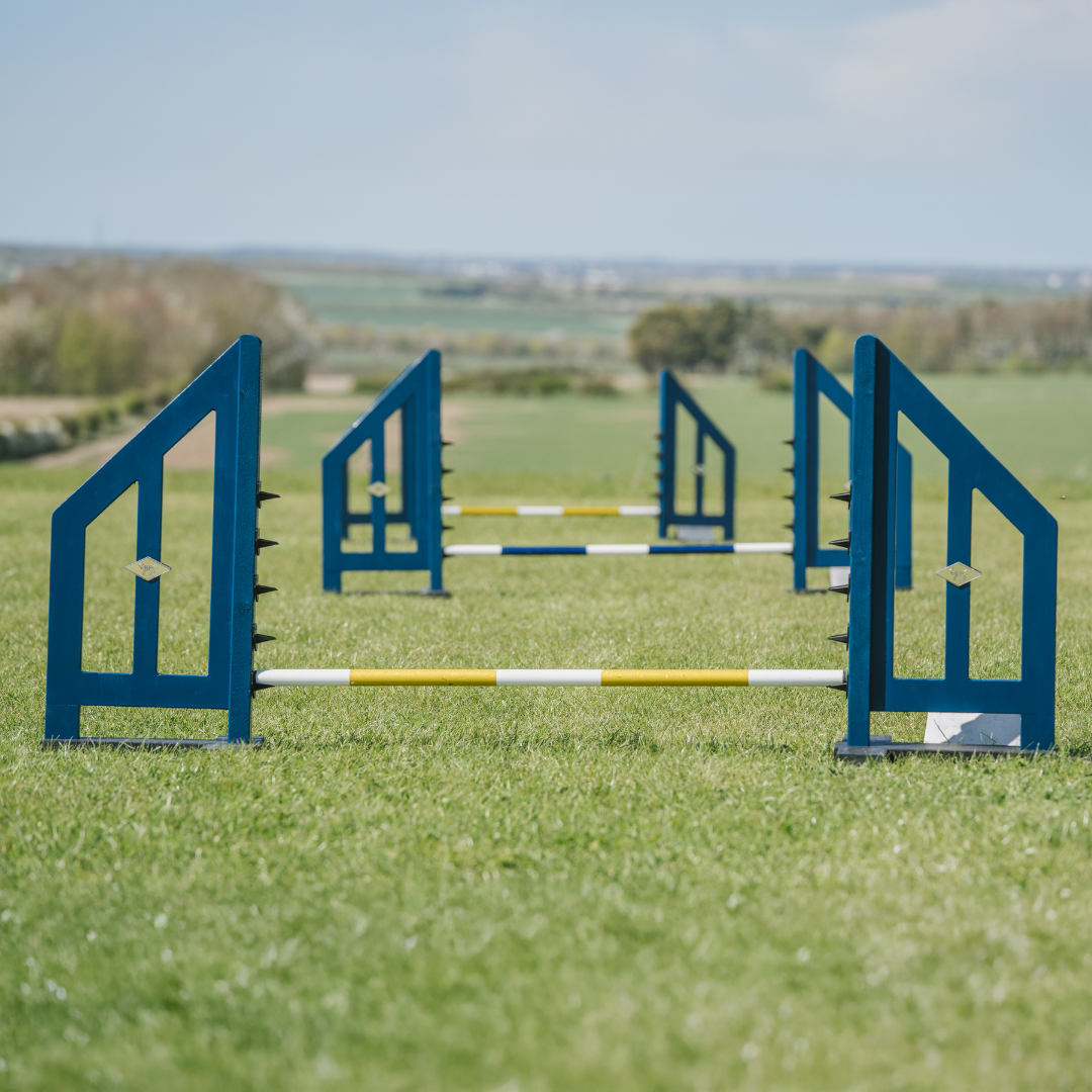 Dog agility jumps at home professional competition