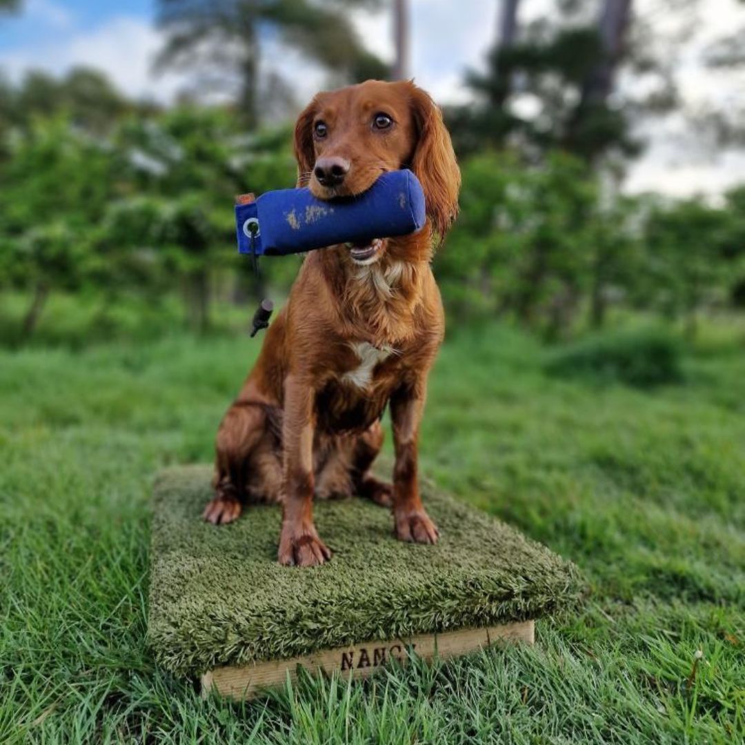 DT Systems Retriev-R-Trainer Gun Dog Kit Hand Held Dummy Launcher