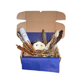 Treat Box for Active Dogs