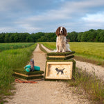 Gundog practicing sit-stay on a high-quality dog place board