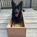 german shepherd in position box for dog training place board for dog training