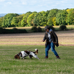 Beginner scent work for dogs with search dog training, including specialized classes in canine search and rescue, mantrailing dogs, and IGP dog tracking for various breeds like Irish Water Spaniels and Blue Heelers