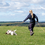 IGP tracking for dogs, teaching them to follow human footsteps with precision, perfect for SAR and working dog training, including spaniel dog tracking and scent work