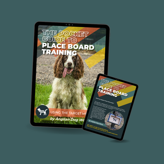 Place Board Training eBook