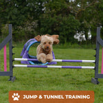 Dog Agility Training | Cambridge, Saffron Walden, Haverhill & Newmarket. 
