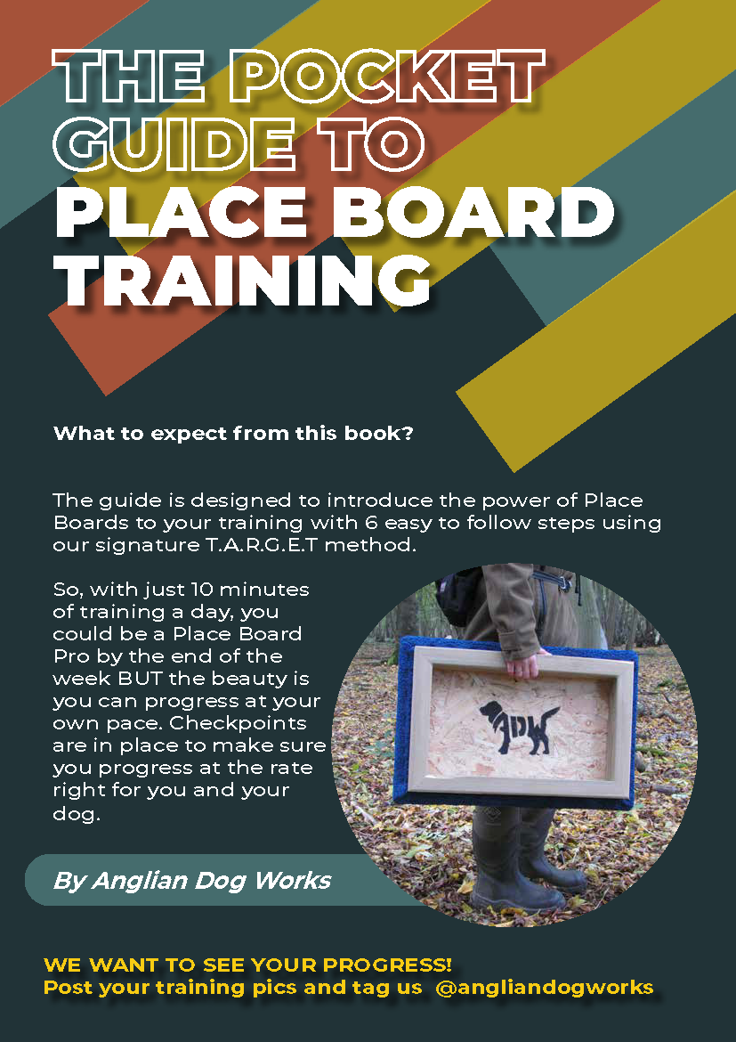 Position Box Place Board for Dog Training, Anglian Dog Works